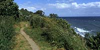 Wandern bei Rerik an der Ostsee